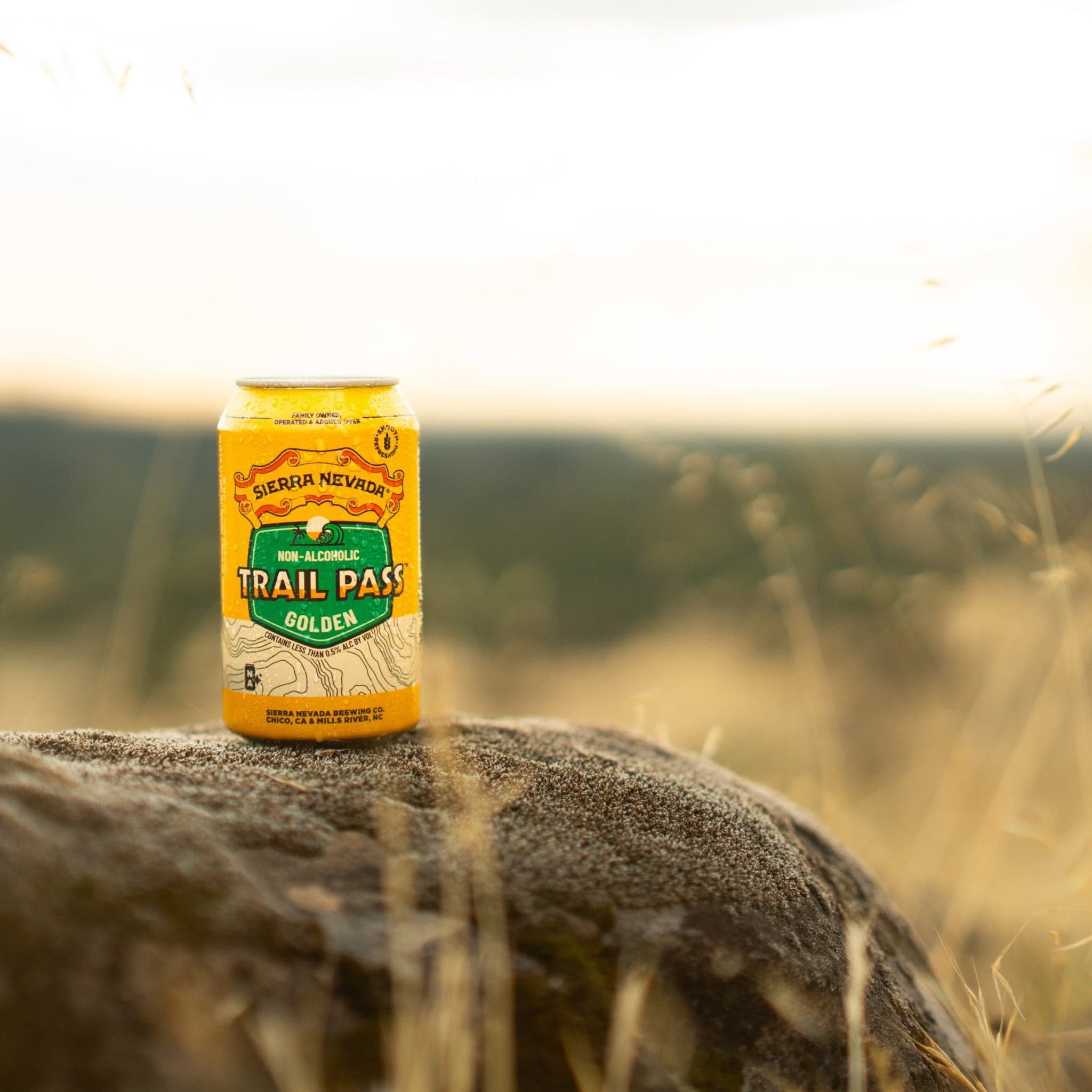 Sierra Nevada Brewing Co. Trail Pass Golden Non-Alcoholic Brew - A chilled can of Trail Pass Golden sits on a rocky overlook